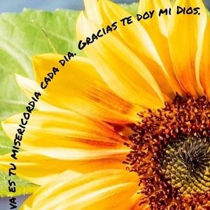 Meet your Posher, Maxima